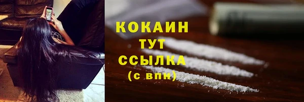 мяу мяу мука Алзамай