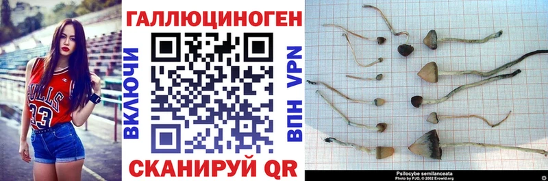 Галлюциногенные грибы ЛСД  Орлов 